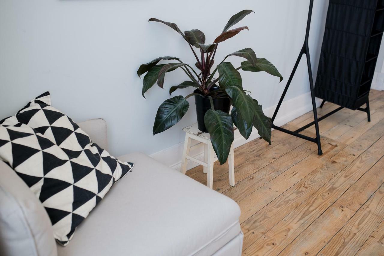 Baixa24 •P2R• Bright Apt In Vibrant Downtown Порто Екстериор снимка