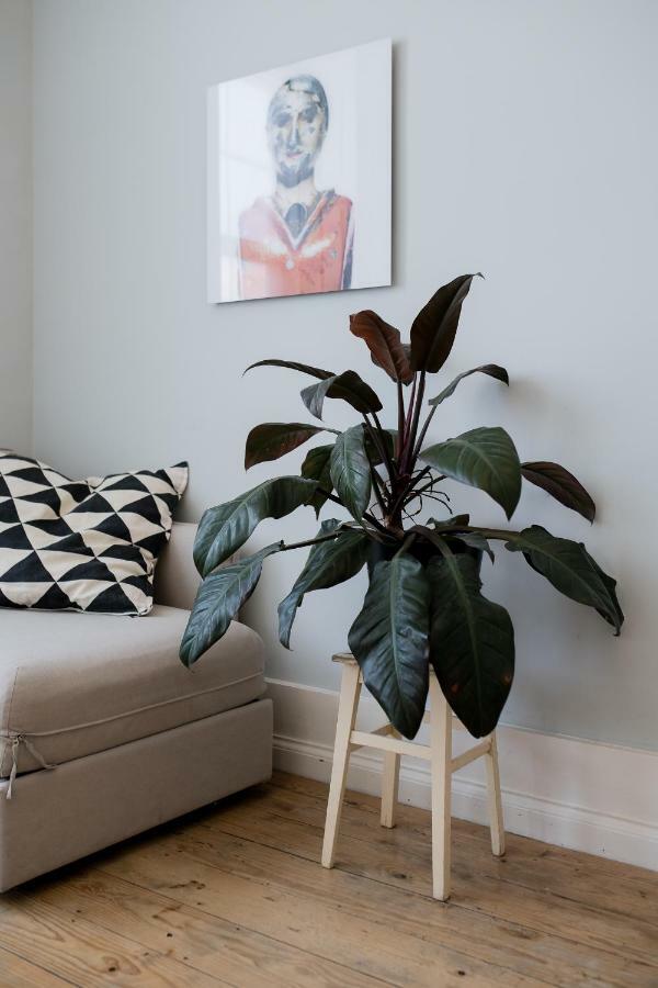 Baixa24 •P2R• Bright Apt In Vibrant Downtown Порто Екстериор снимка