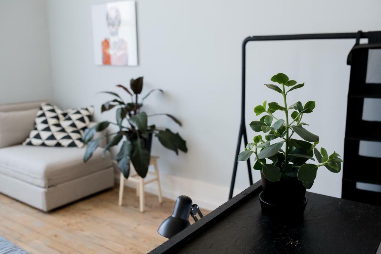 Baixa24 •P2R• Bright Apt In Vibrant Downtown Порто Екстериор снимка